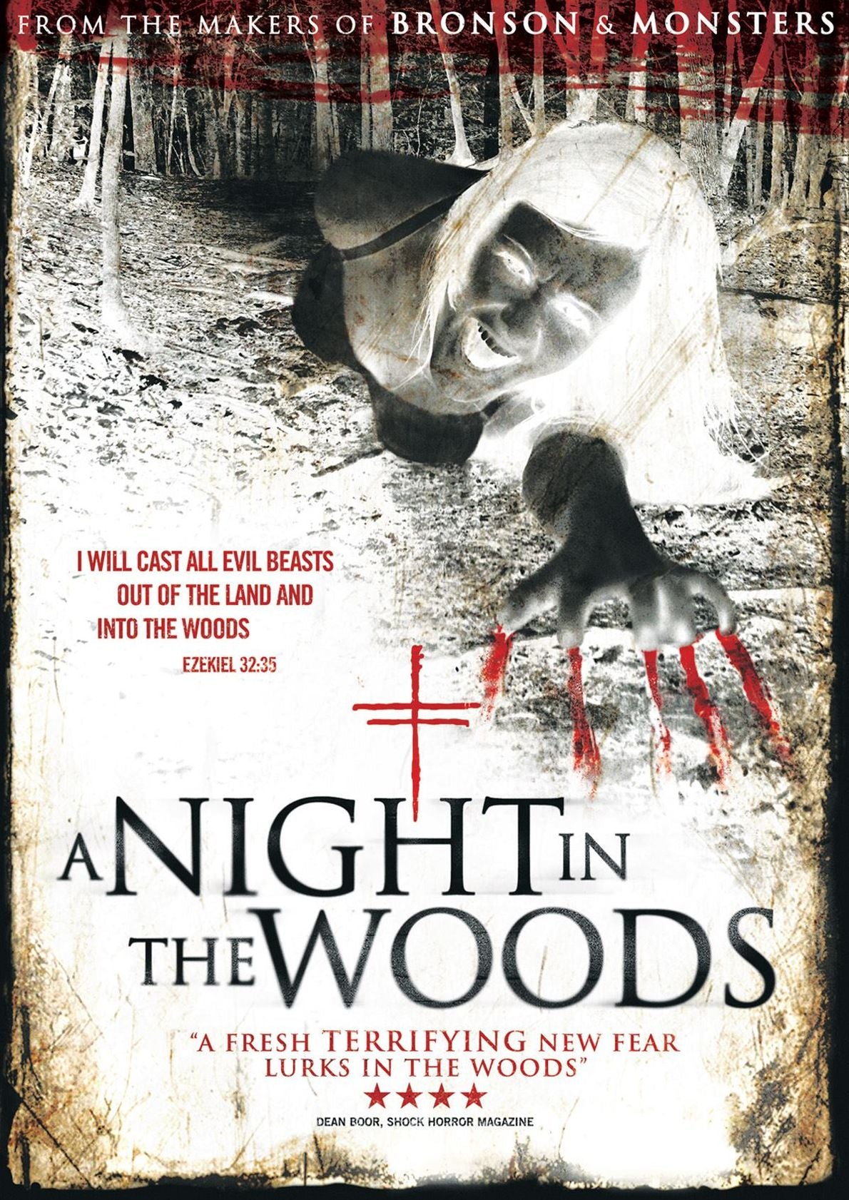 A Night In The Woods