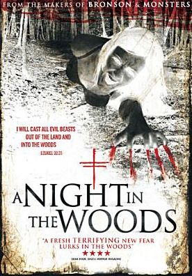 A Night In The Woods
