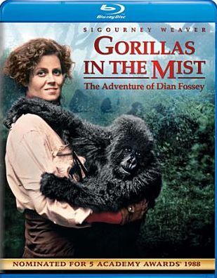 Gorillas In The Mist