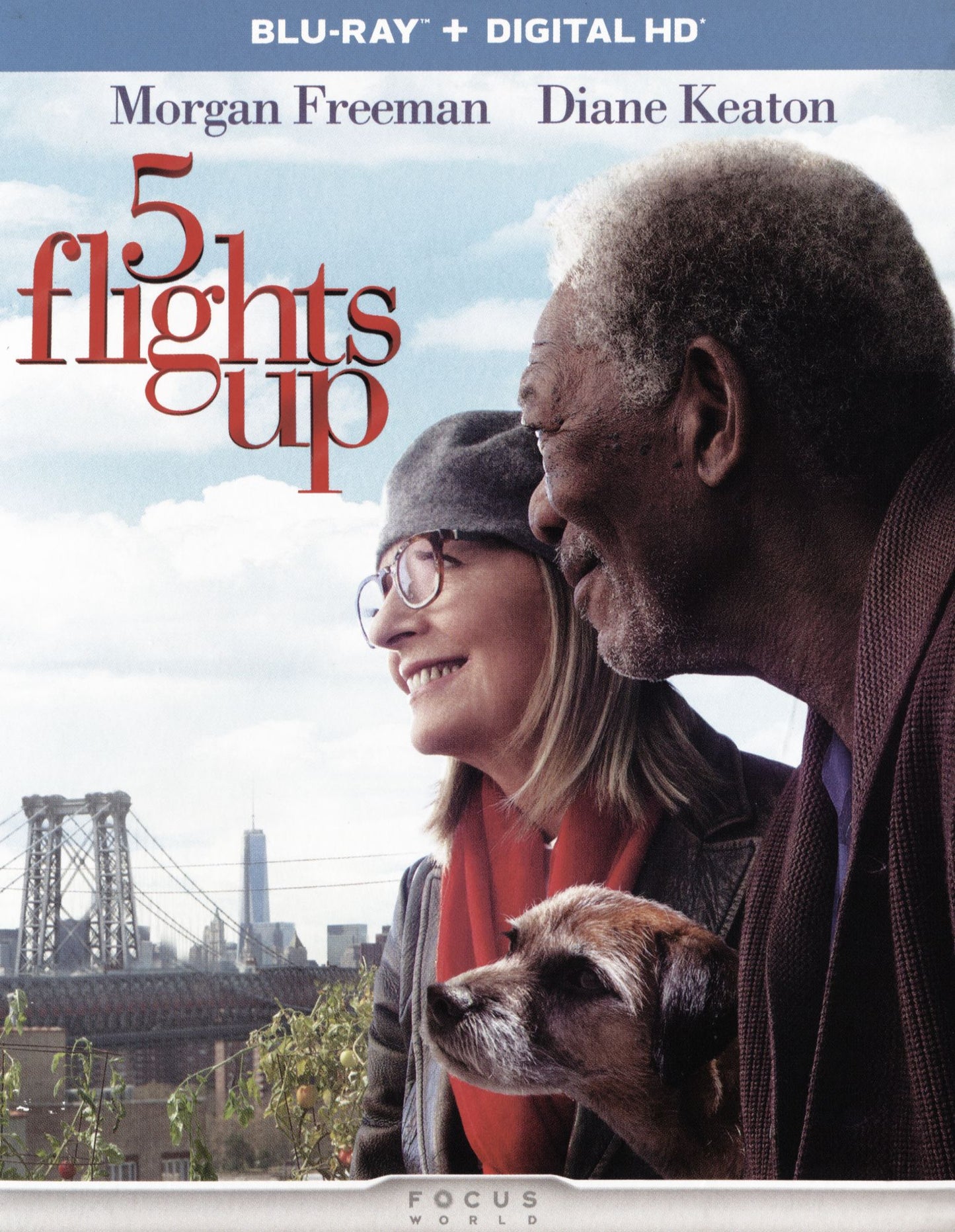 5 Flights Up
