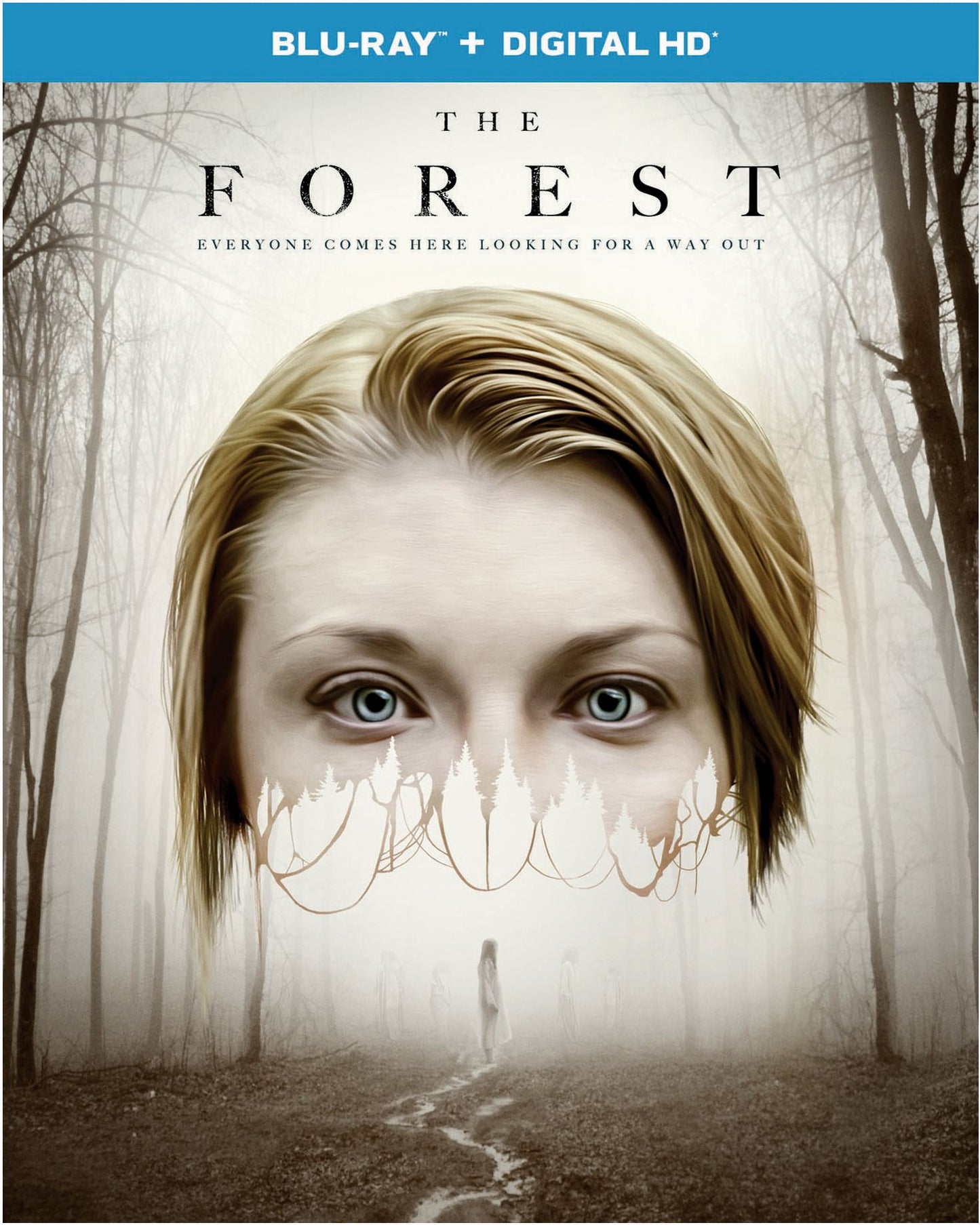 The Forest