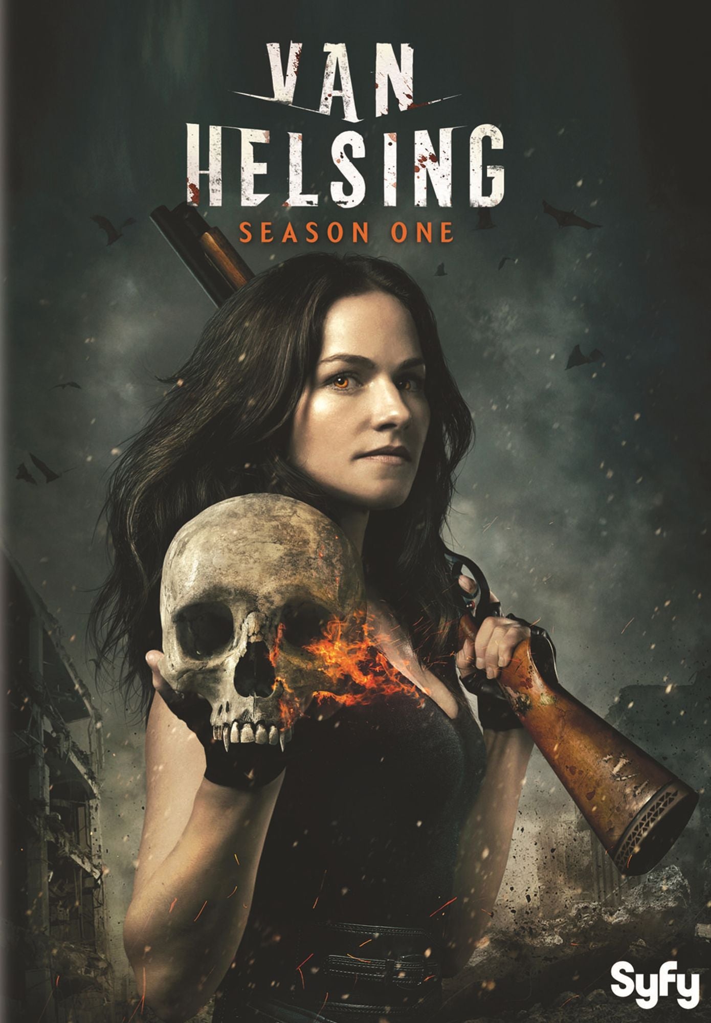 Van Helsing: Season One [4 Discs]