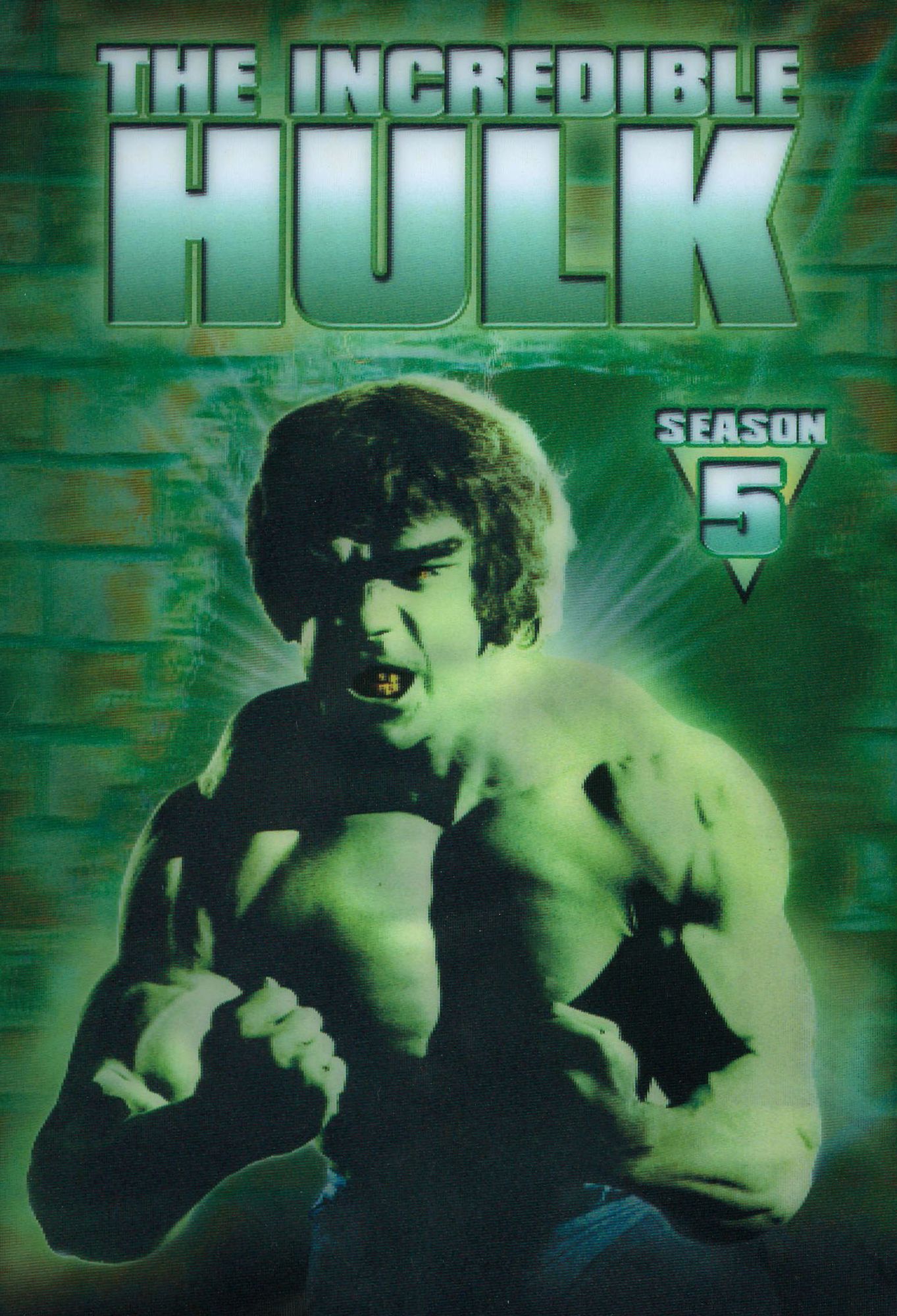 The Incredible Hulk: The Complete Fifth Season [2 Discs]