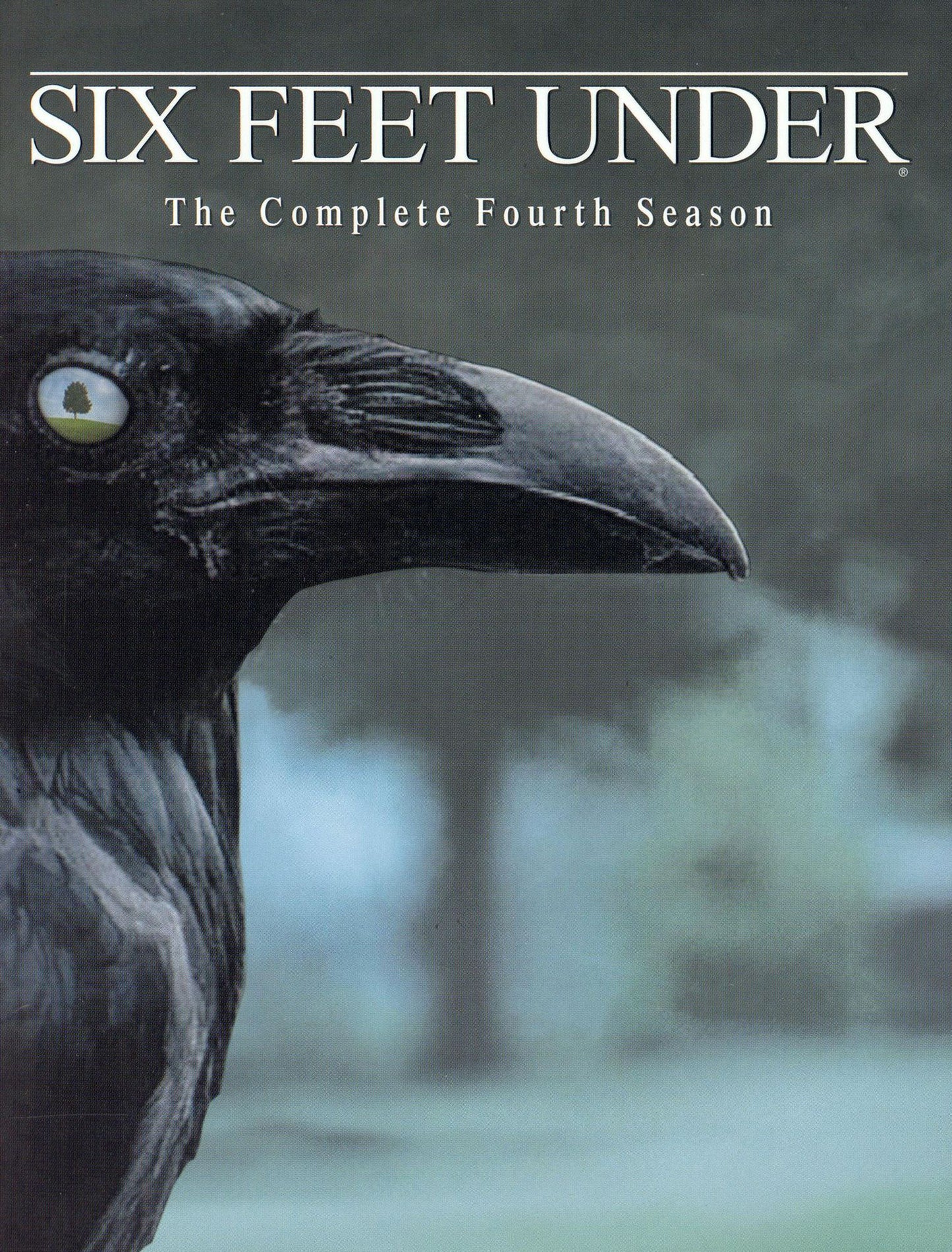 Six Feet Under: The Complete Fourth Season [5 Discs]