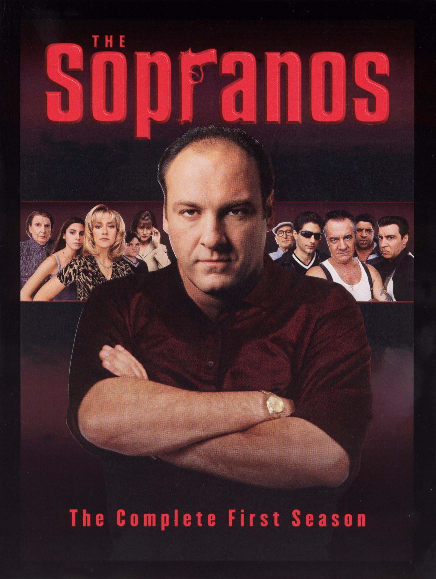 The Sopranos: The Complete First Season [Collector's Edition] [4 Discs]