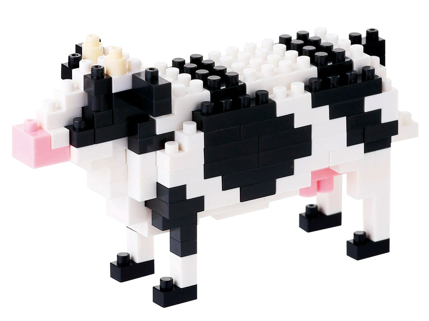 Cattle