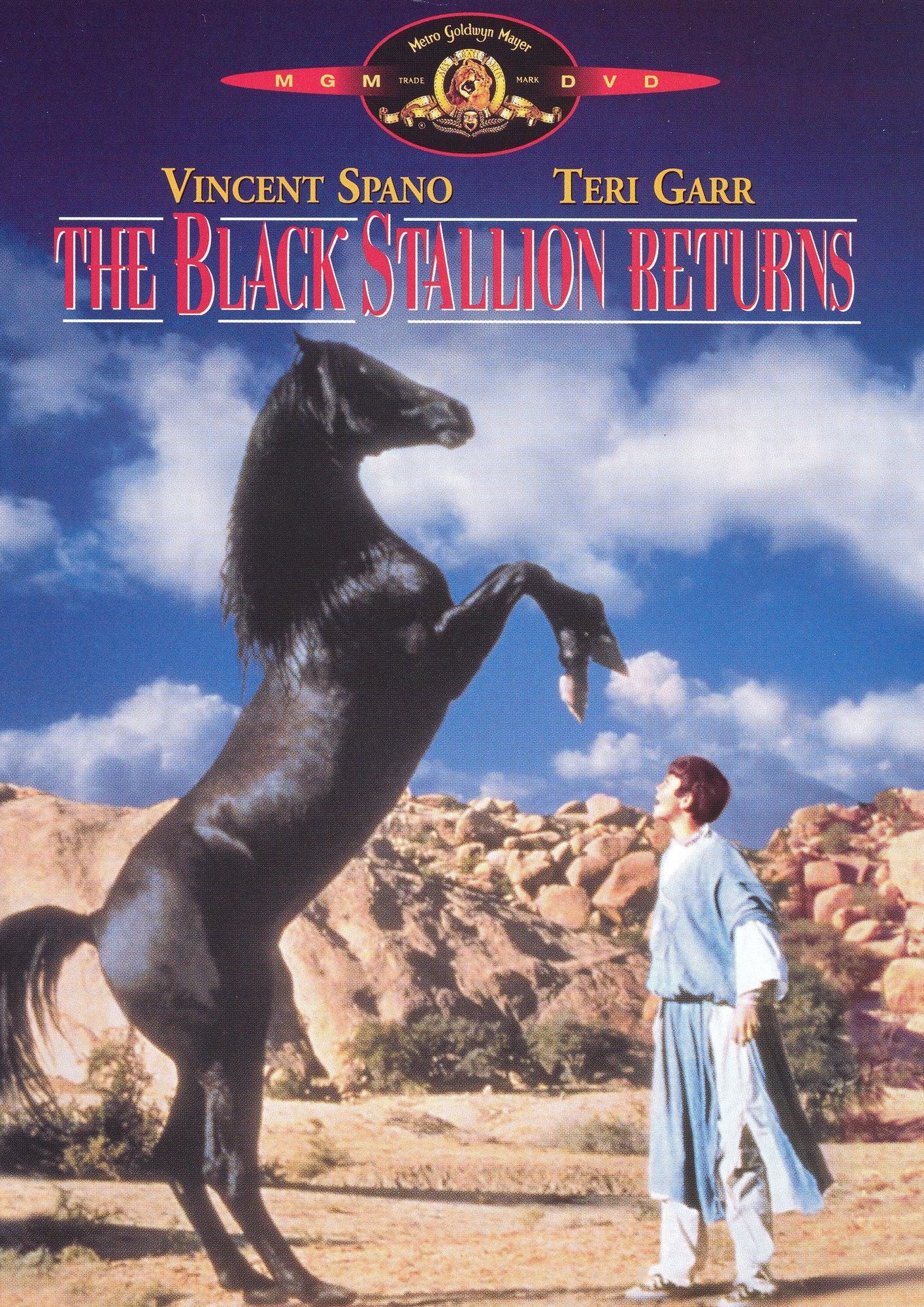 The Black Stallion Returns
