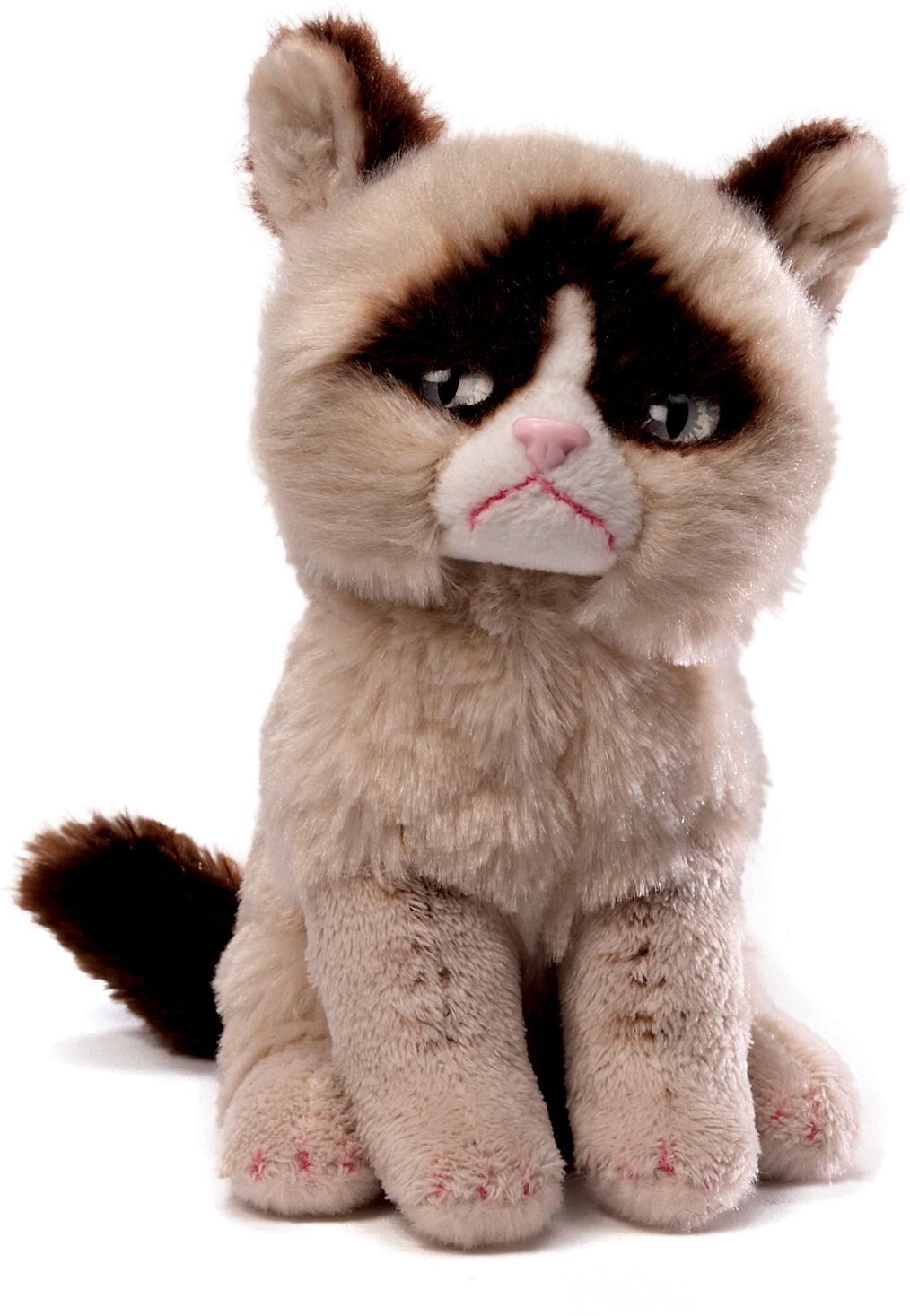 Grumpy Cat Beanbag