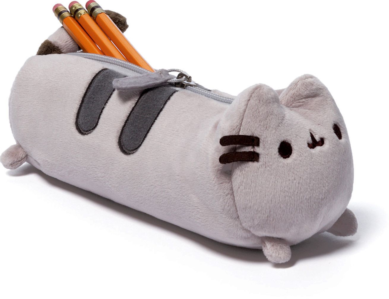 Pusheen Accessory Case