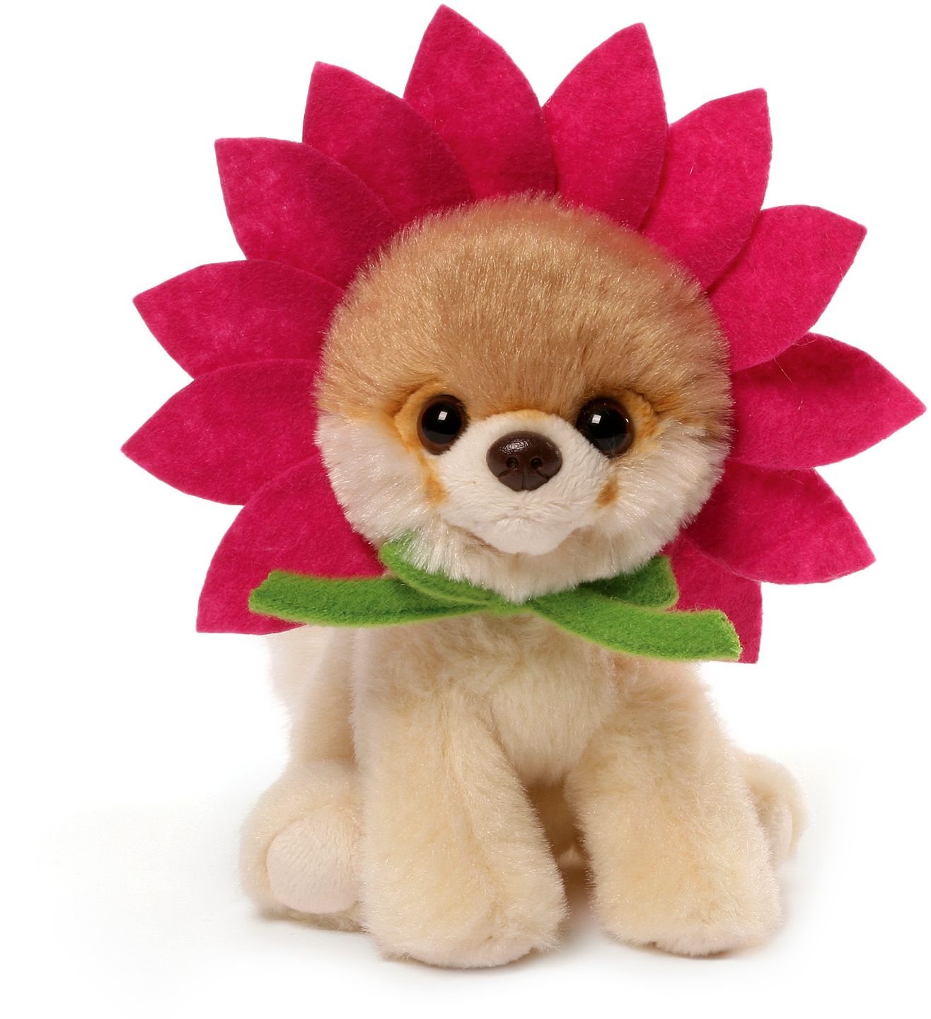 Itty Bitty Boo Daisy