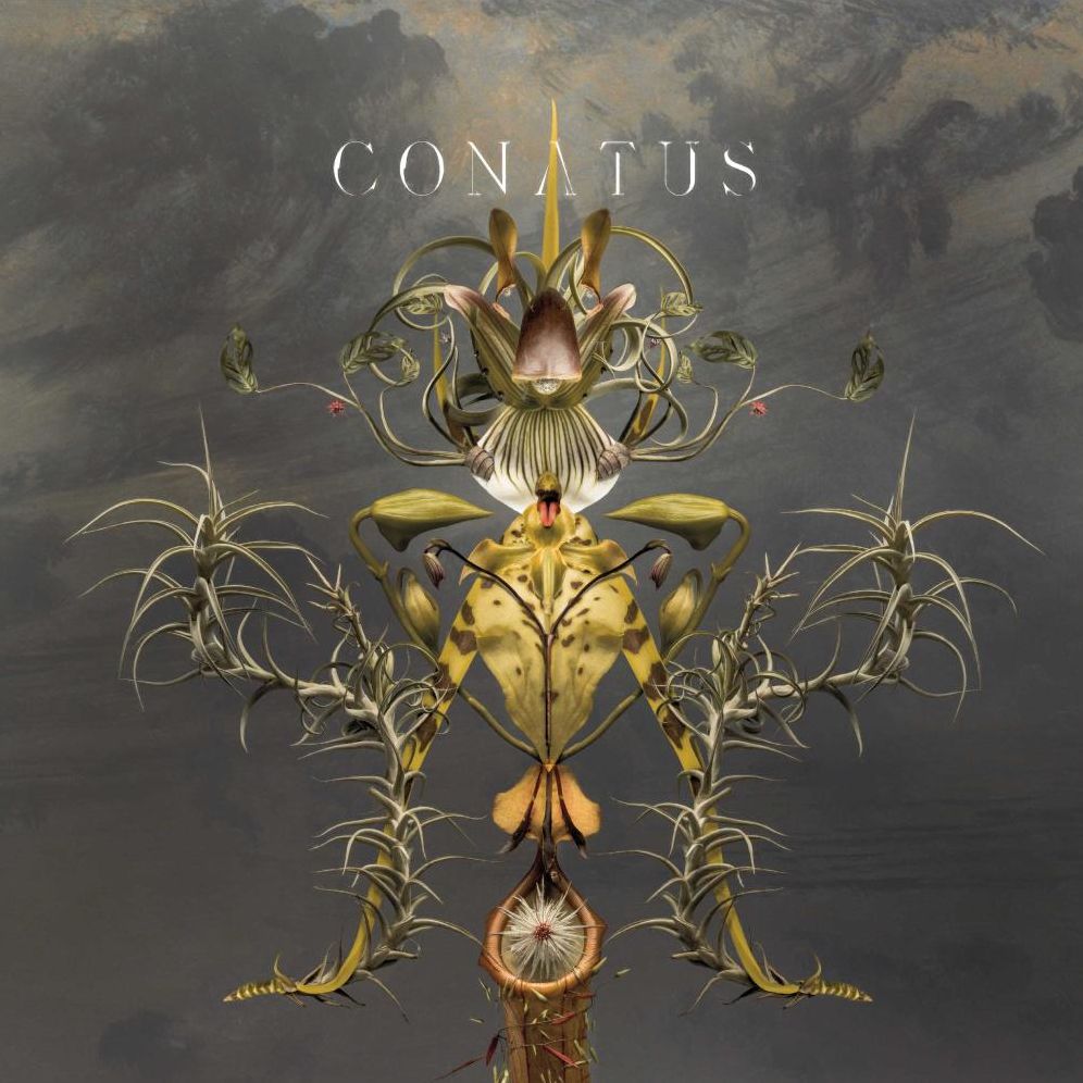 Conatus