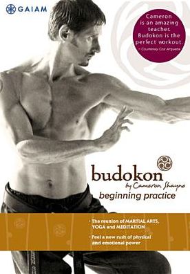 Budokon by Cameron Shayne: Beginning Practice