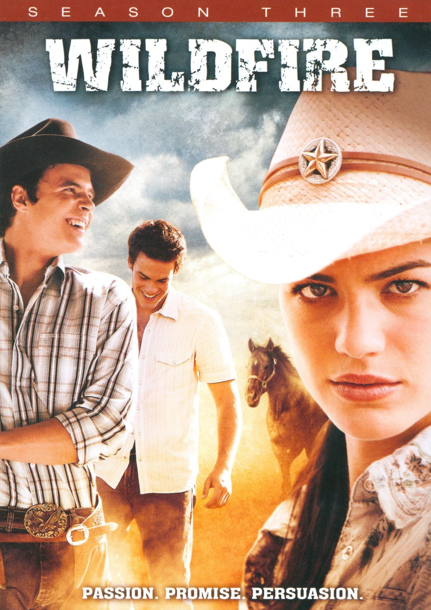 Wildfire: Season 3 [3 Discs]