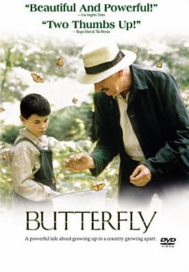Butterfly
