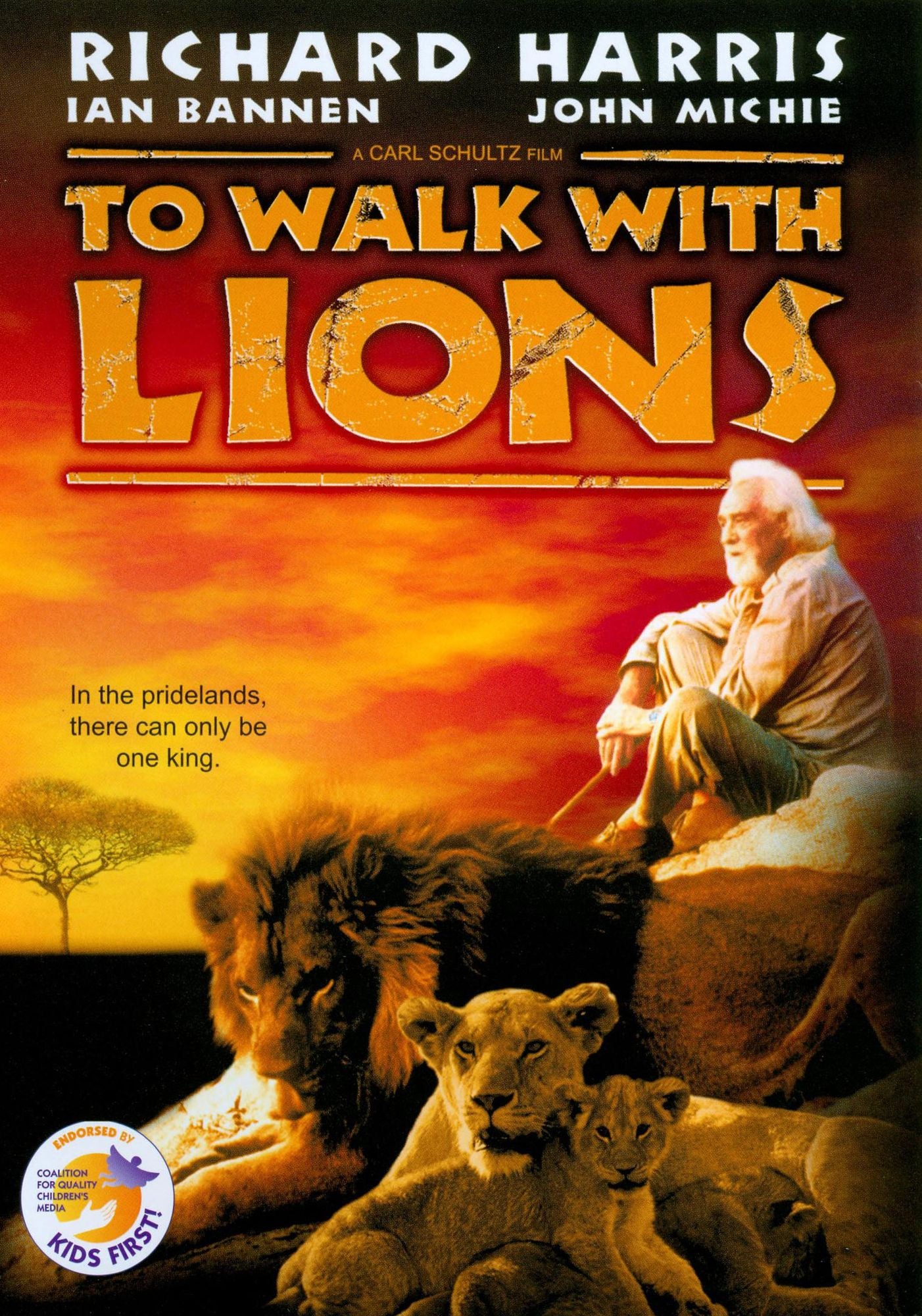 To Walk with Lions