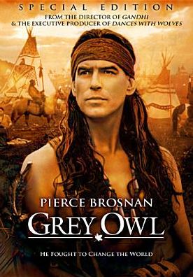 Grey Owl