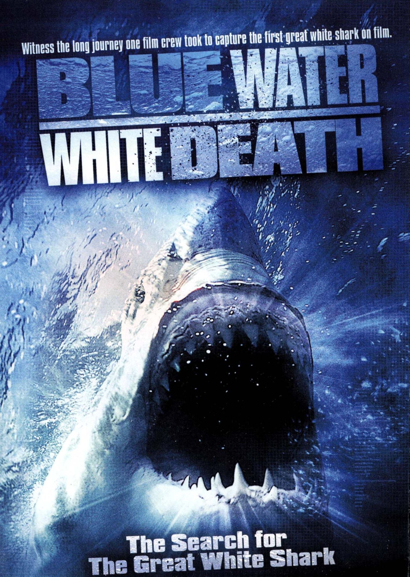 Blue Water, White Death