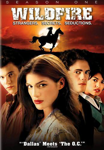Wildfire: Season 1 [4 Discs]