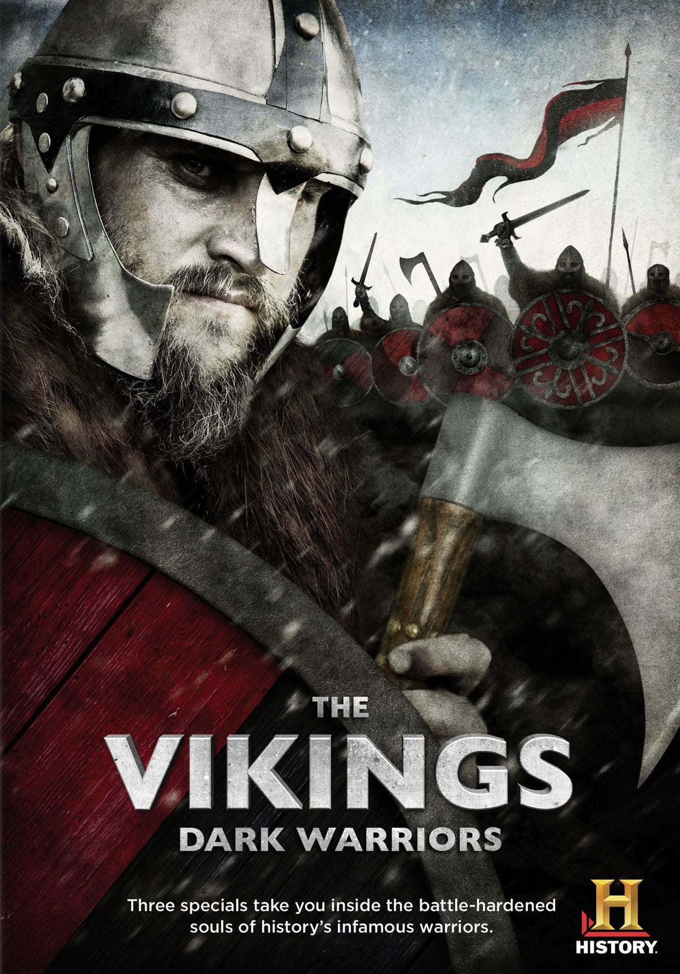 VIKINGS: DARK WARRIORS / (WS)