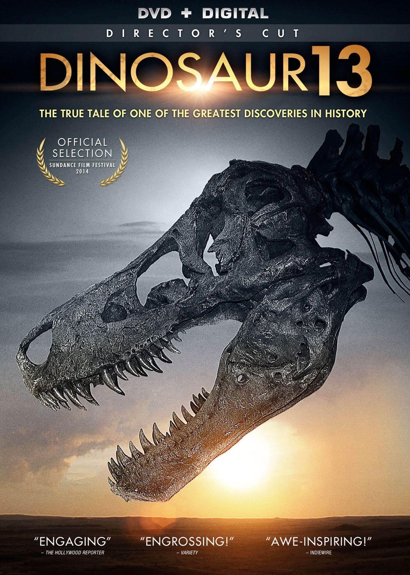 DINOSAUR 13