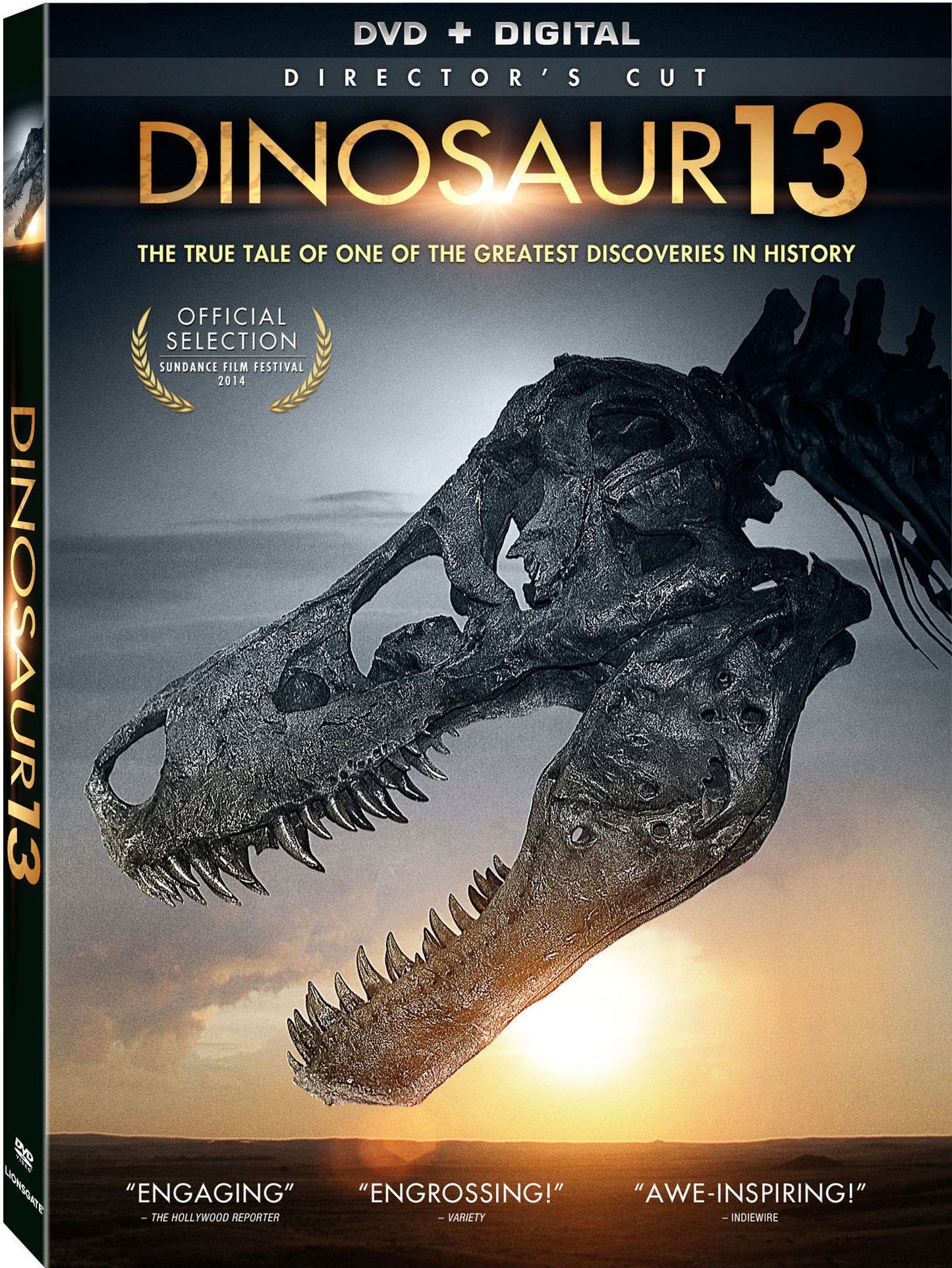 DINOSAUR 13