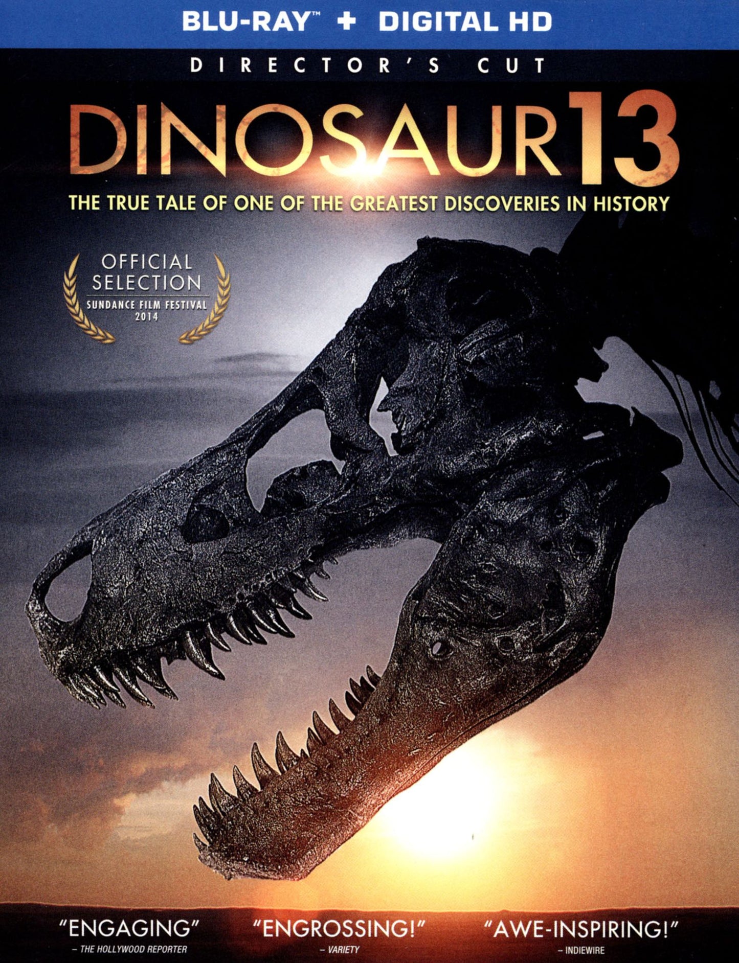 DINOSAUR 13 / (BR)