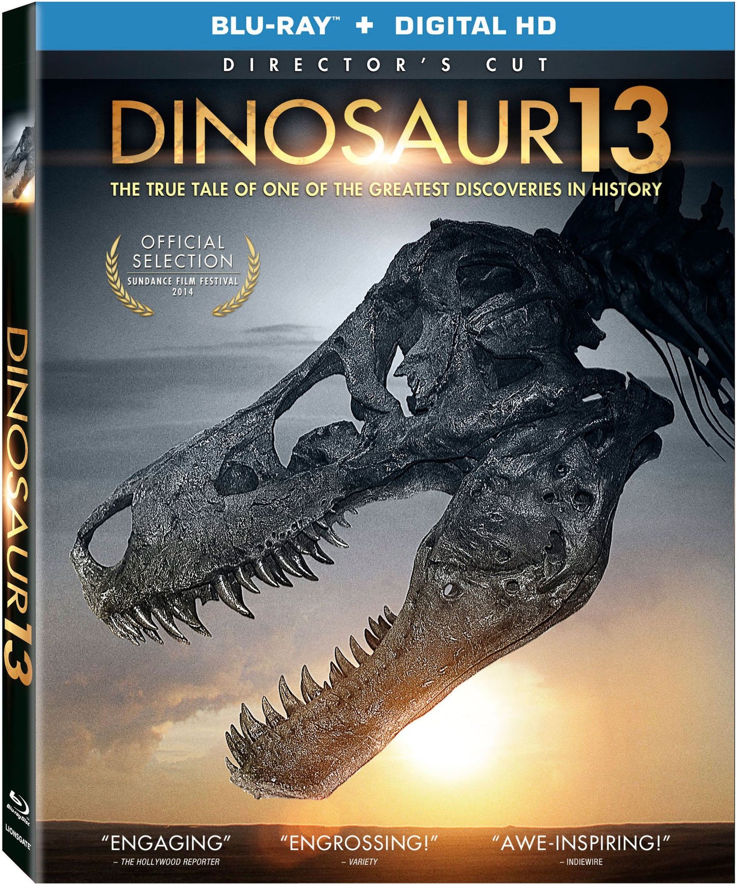 DINOSAUR 13 / (BR)