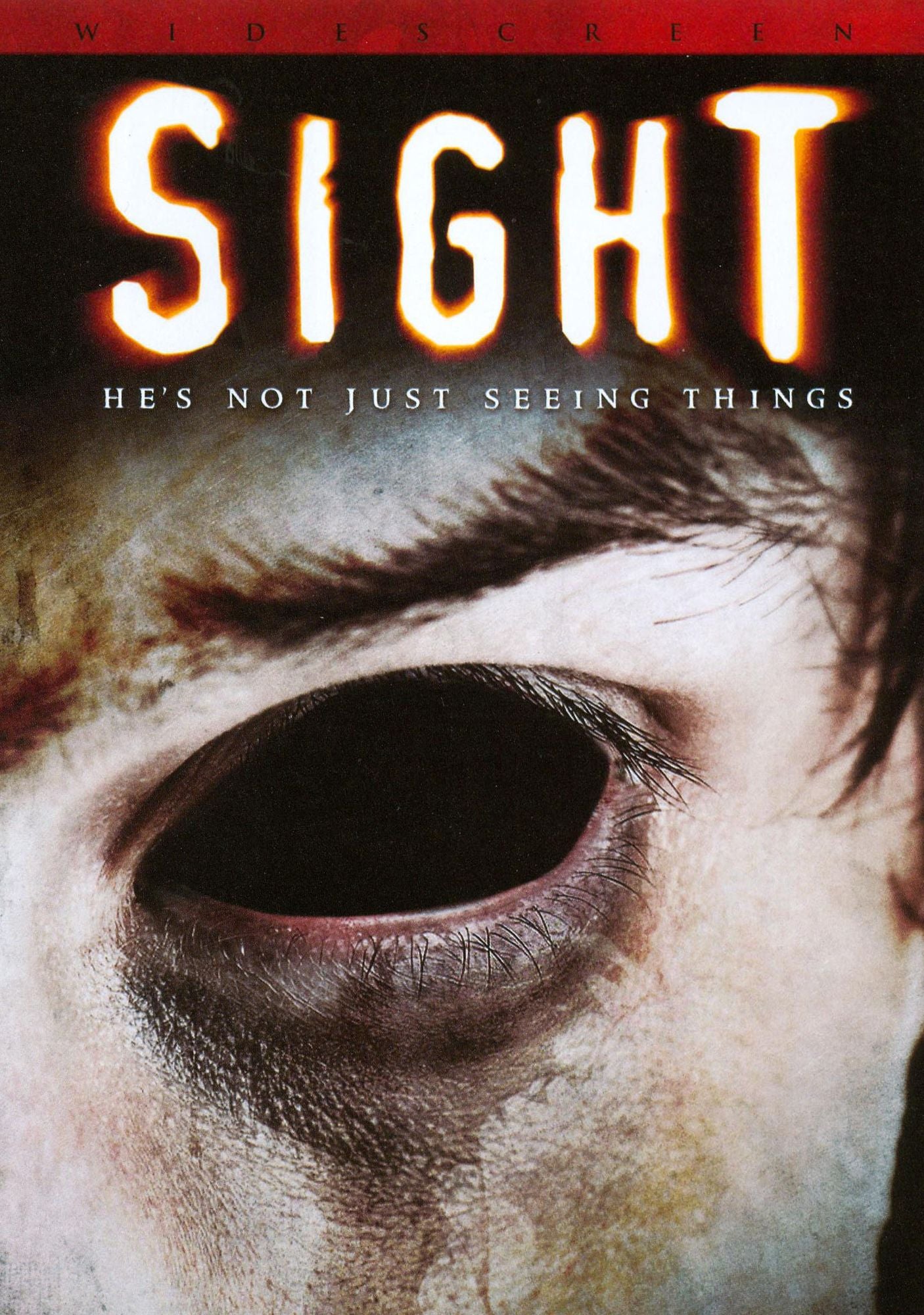 Sight