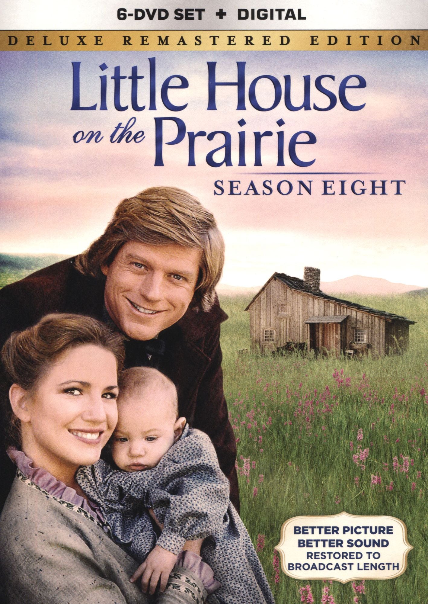 Little House on the Prairie: Season 8 [6 Discs]