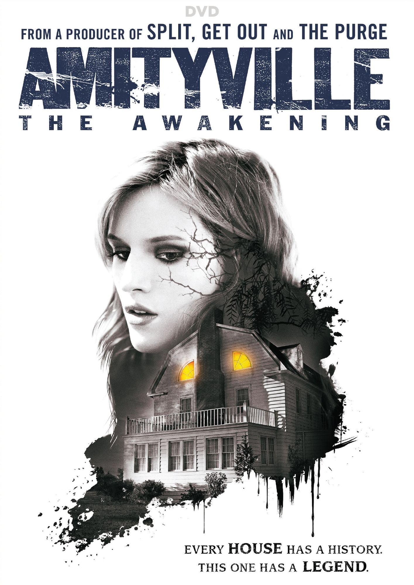 Amityville: The Awakening