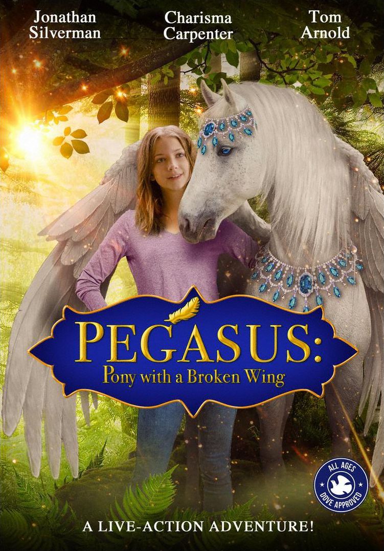 Pegasus: Pony with a Broken Wing