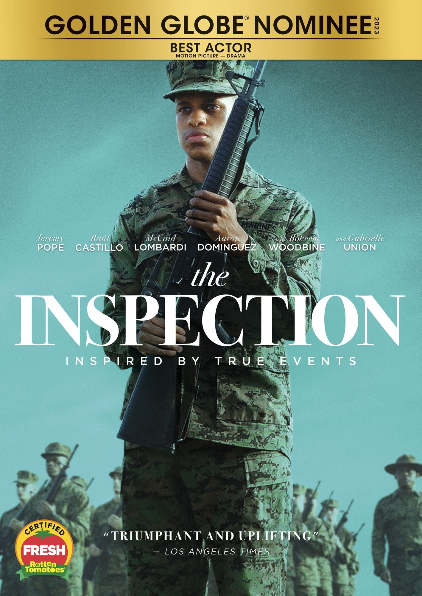 Inspection