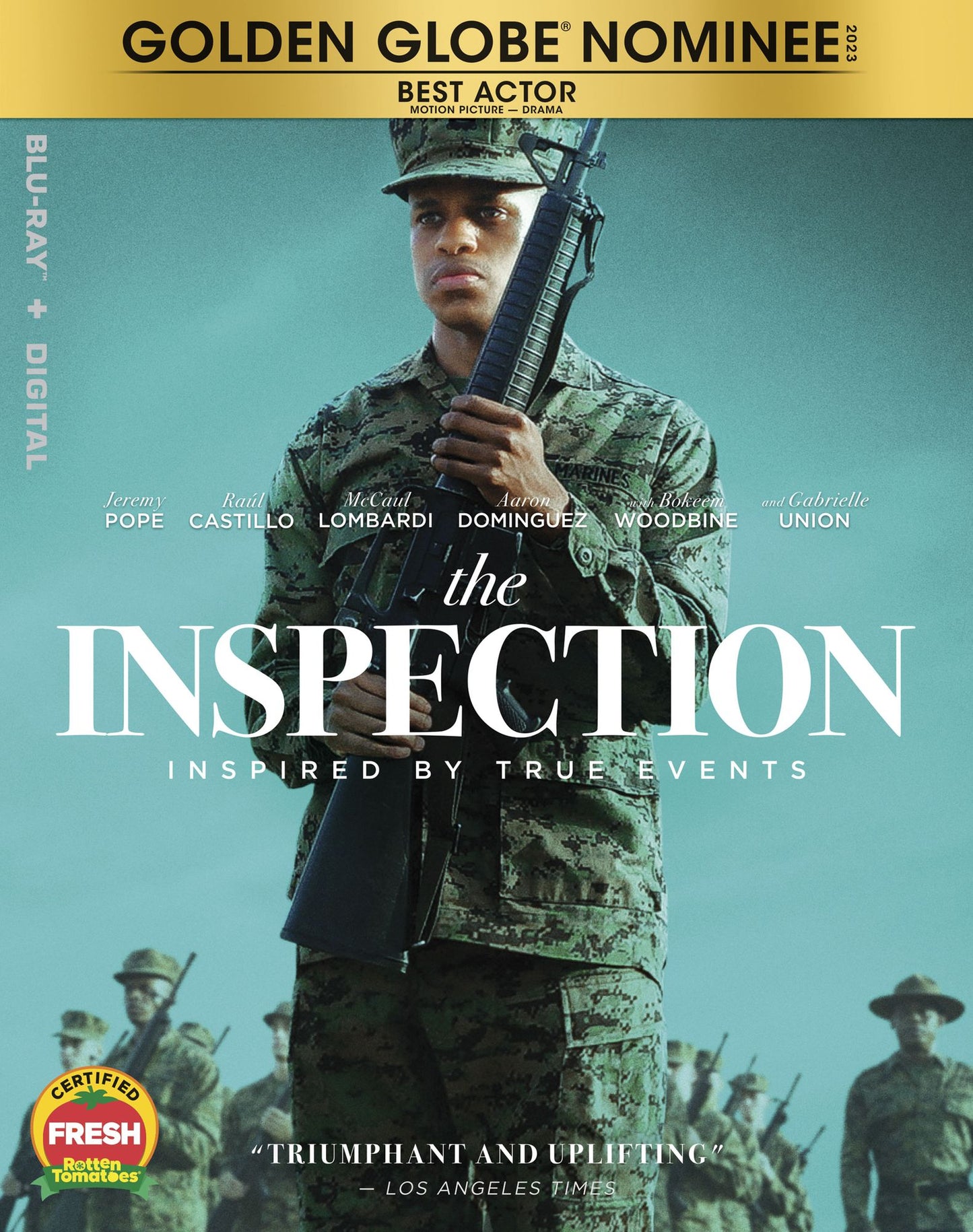 Inspection / (Digc)