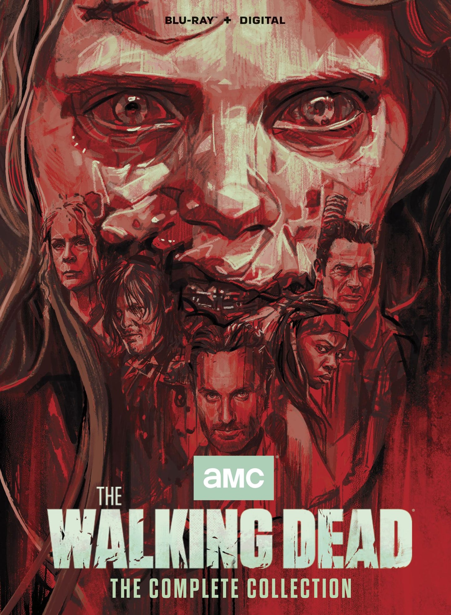 Walking Dead Complete Series - Season 1-11