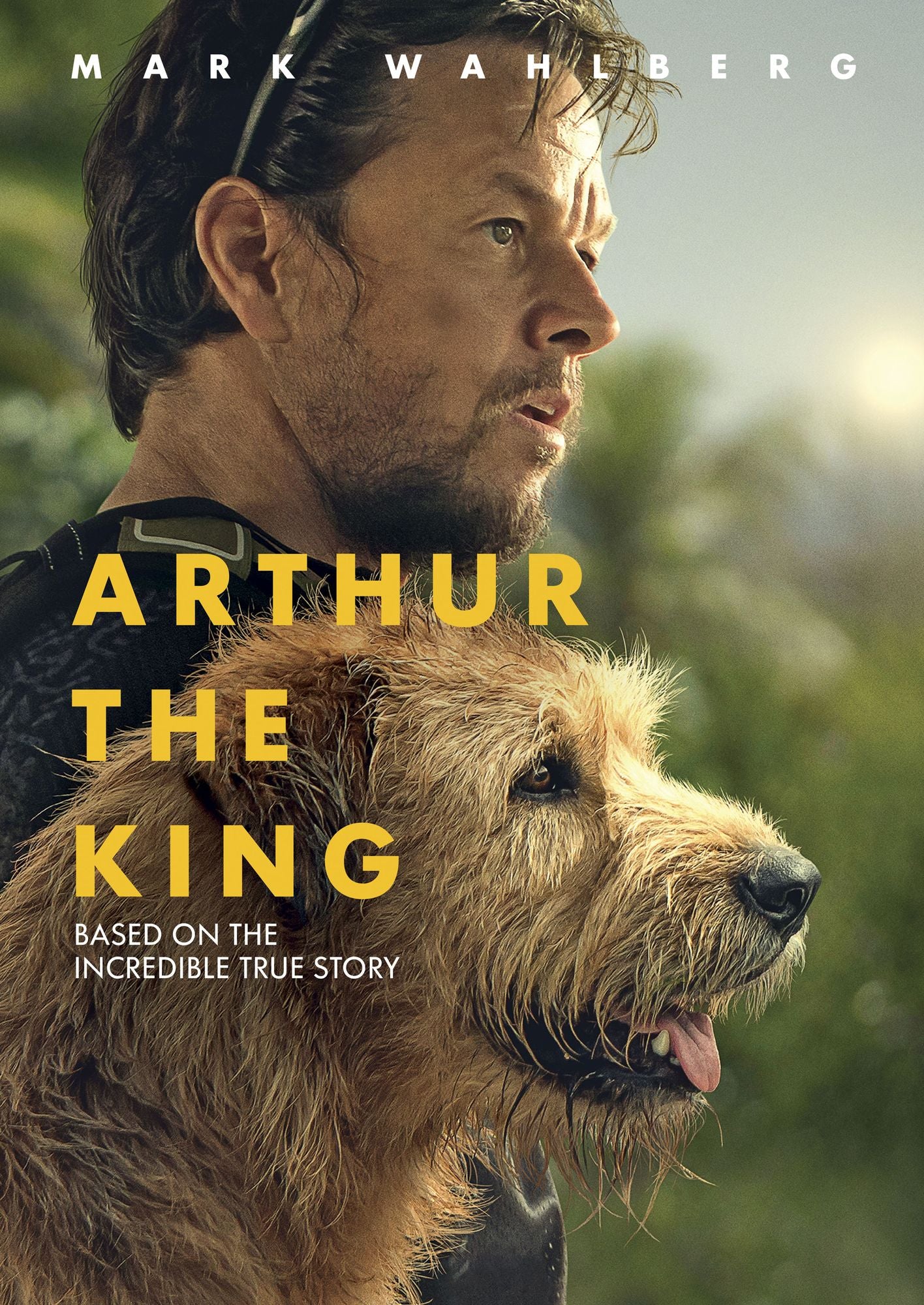 Arthur The King