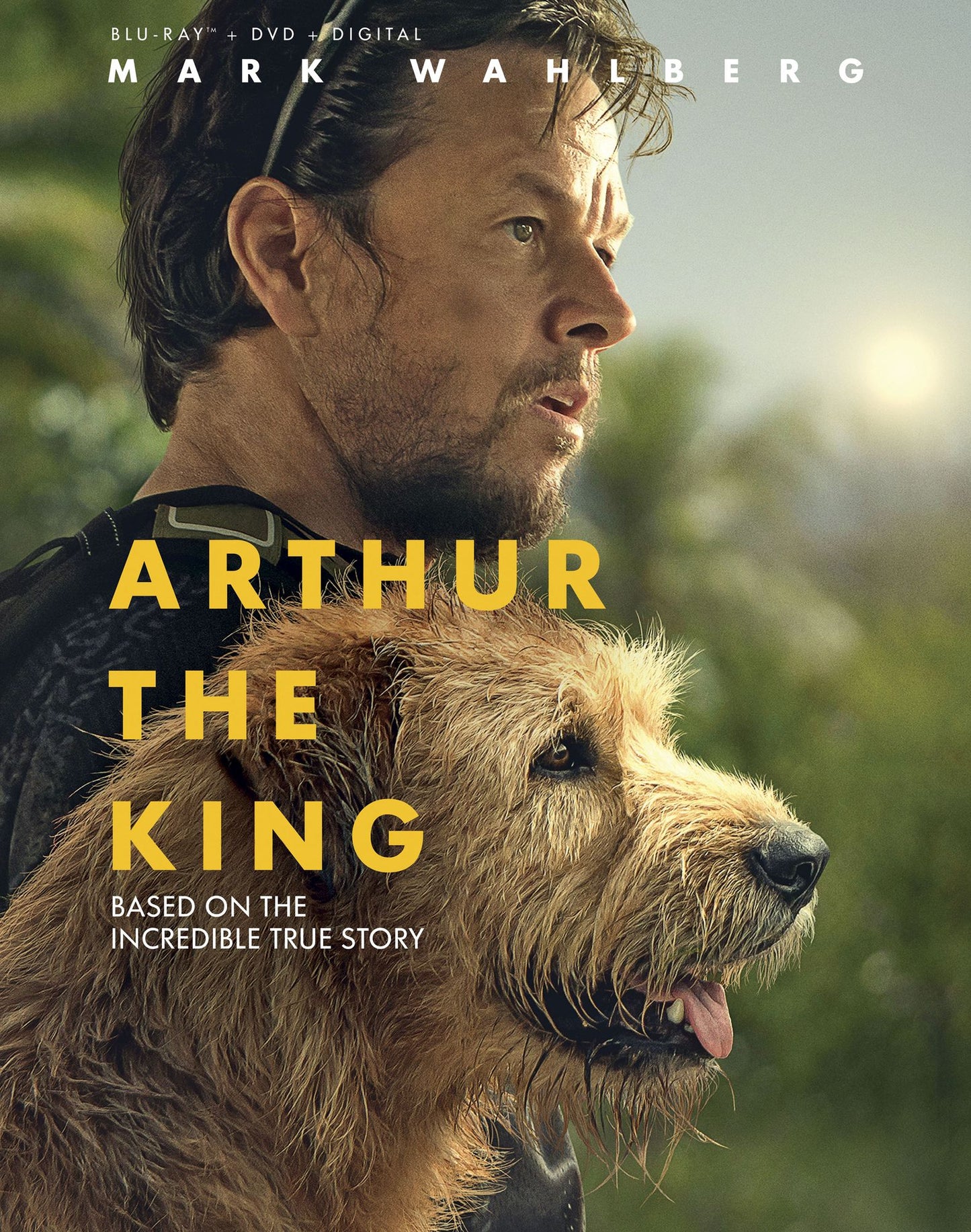 Arthur The King