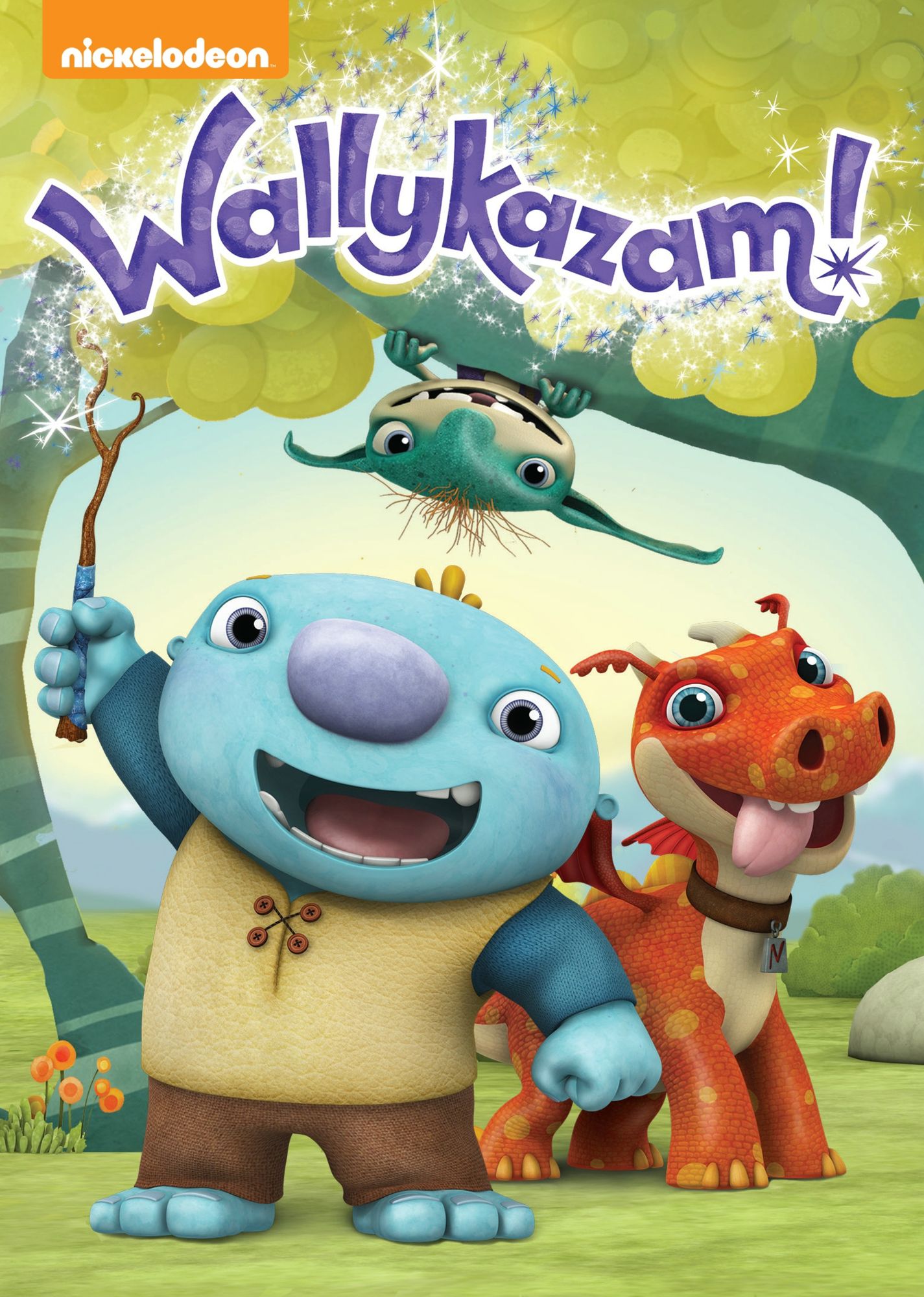 WALLYKAZAM / (WS)