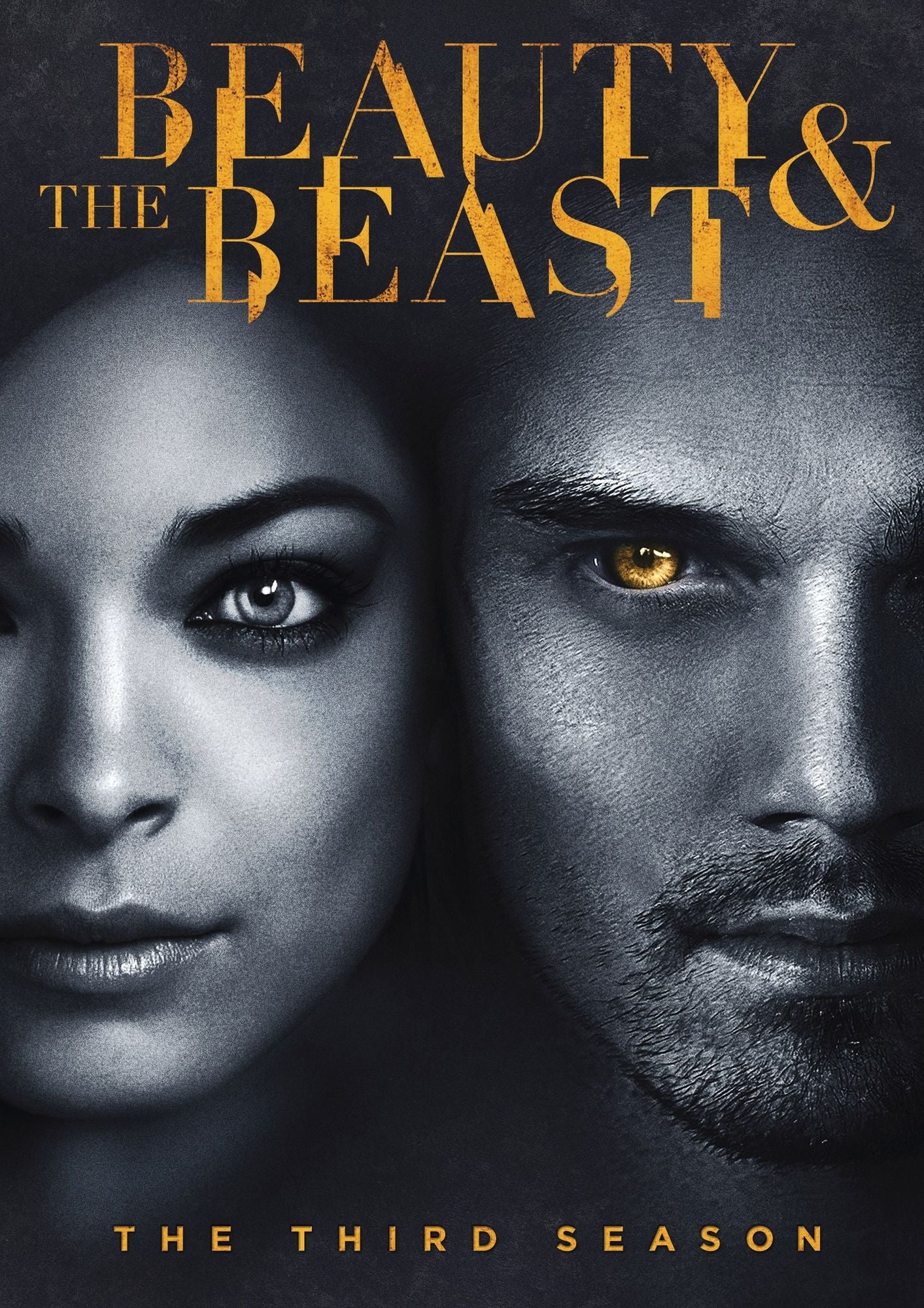 Beauty and the Beast: The Third Season [4 Discs]