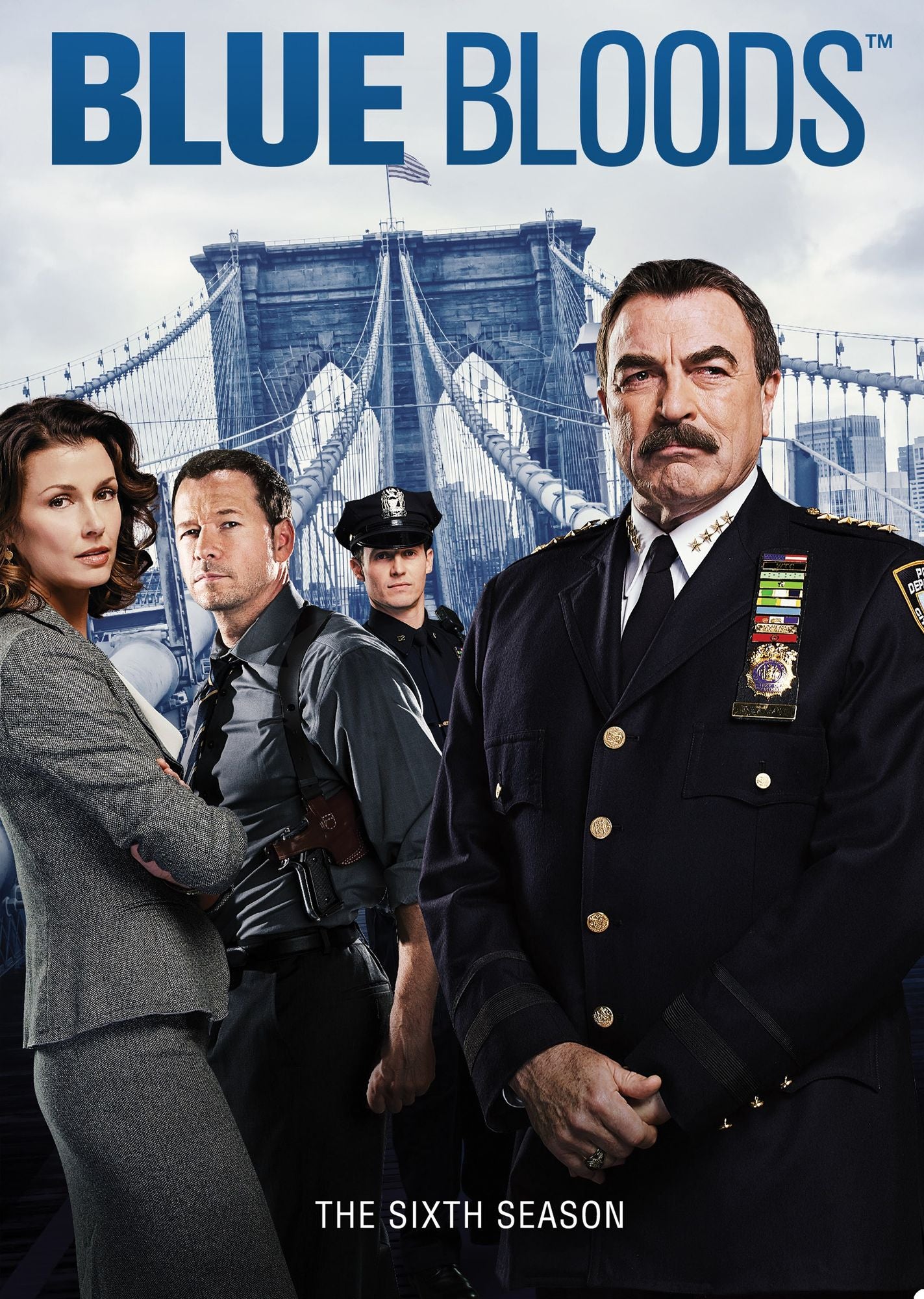 Blue Bloods: The Sixth Season [6 Discs]