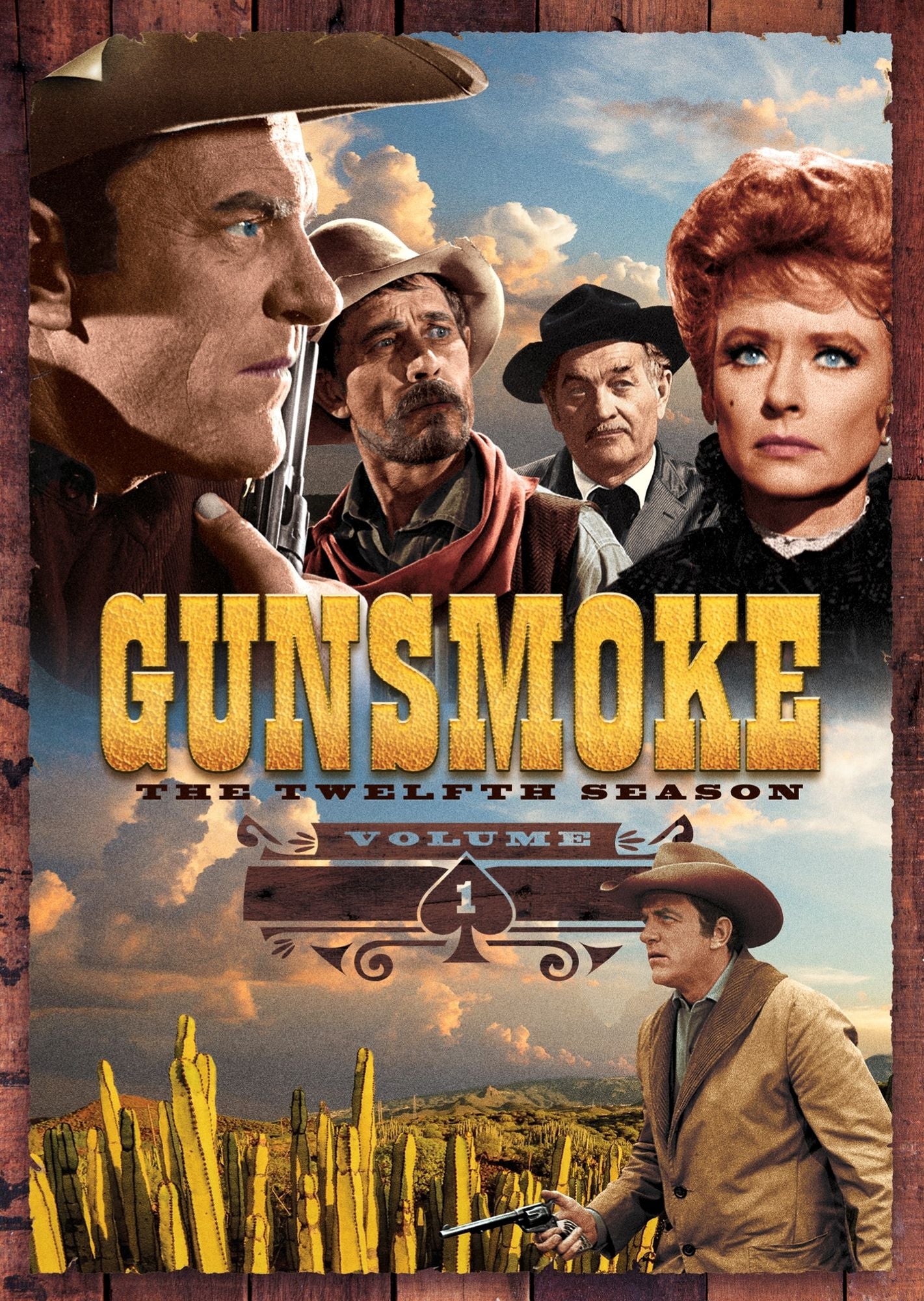 Gunsmoke: The Twelfth Season - Volume One [4 Discs]