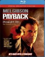 Payback / (Br)