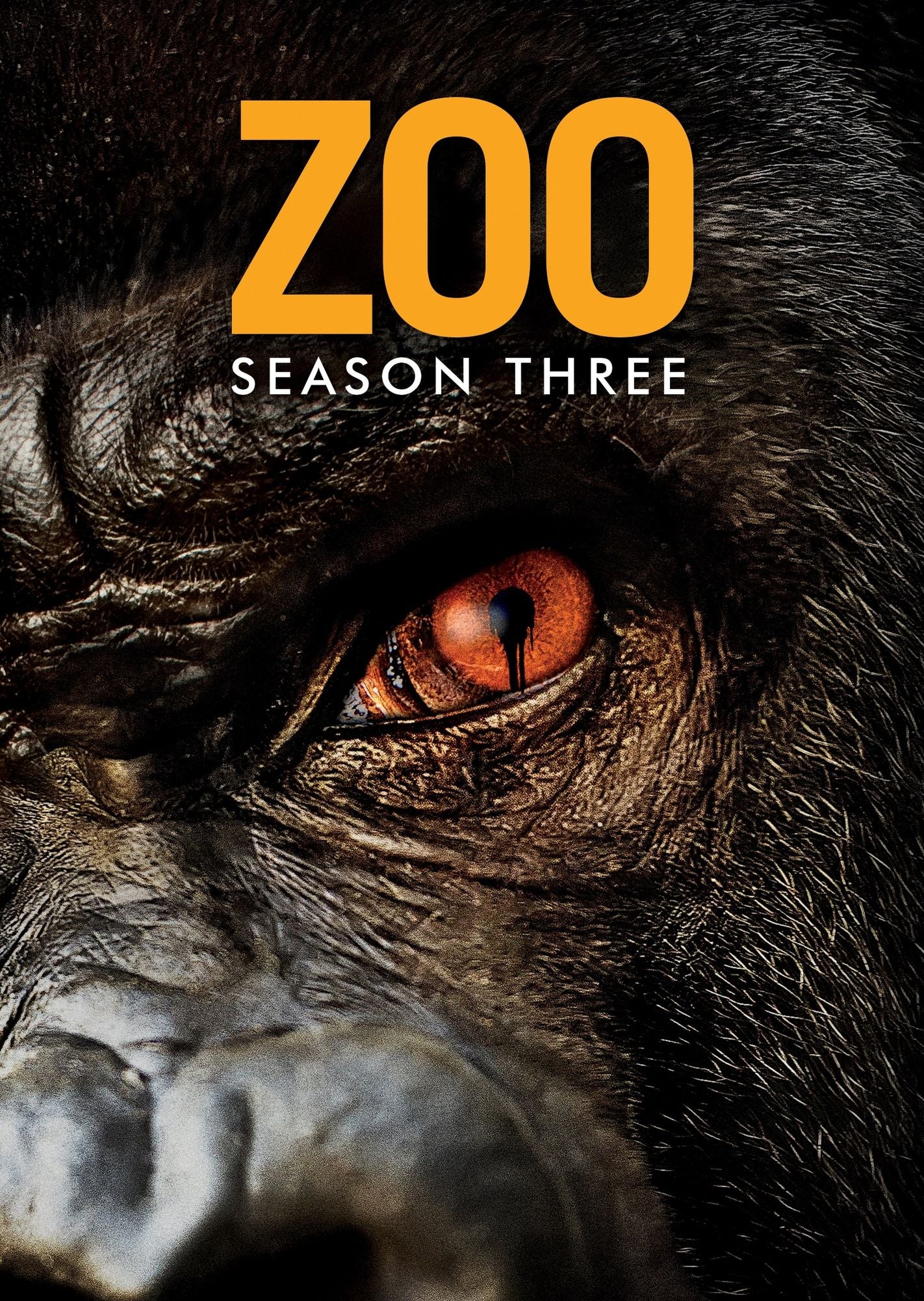 Zoo: Season 3