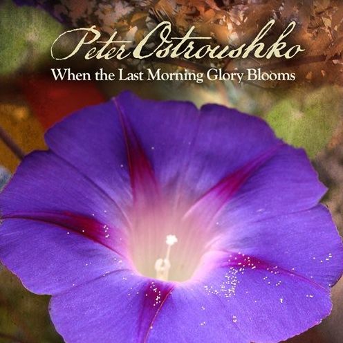 When The Last Morning Glory Blooms