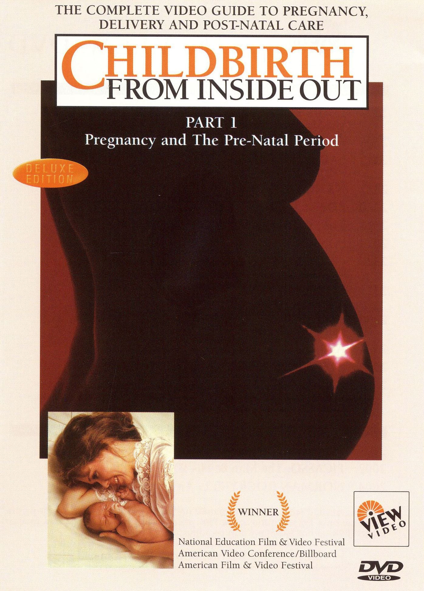 Childbirth From Inside Out, Pt. 1: Pregnancy and the Prenatal Period