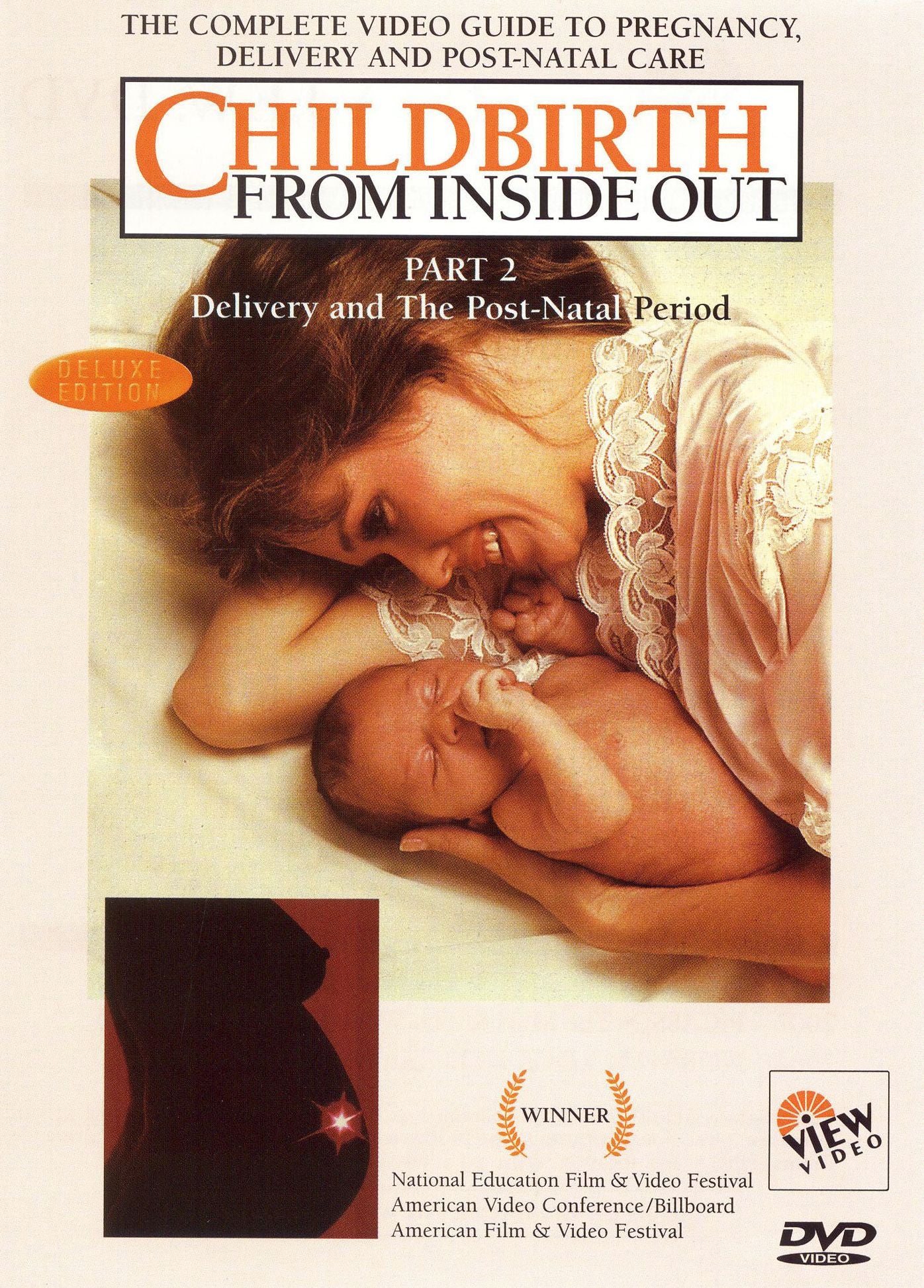 Childbirth From Inside Out, Part 2: Delivery and the Post-Natal Period
