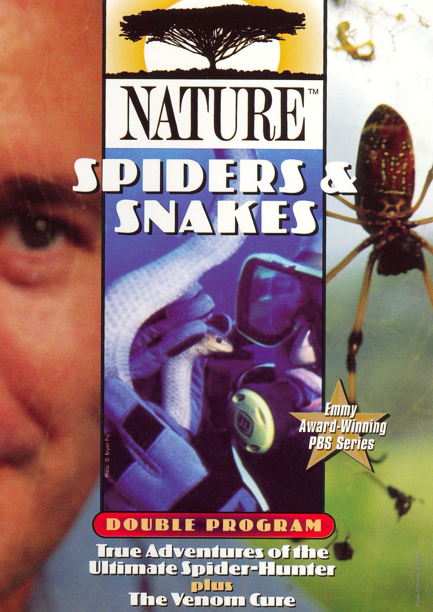 Nature: Spiders and Snakes