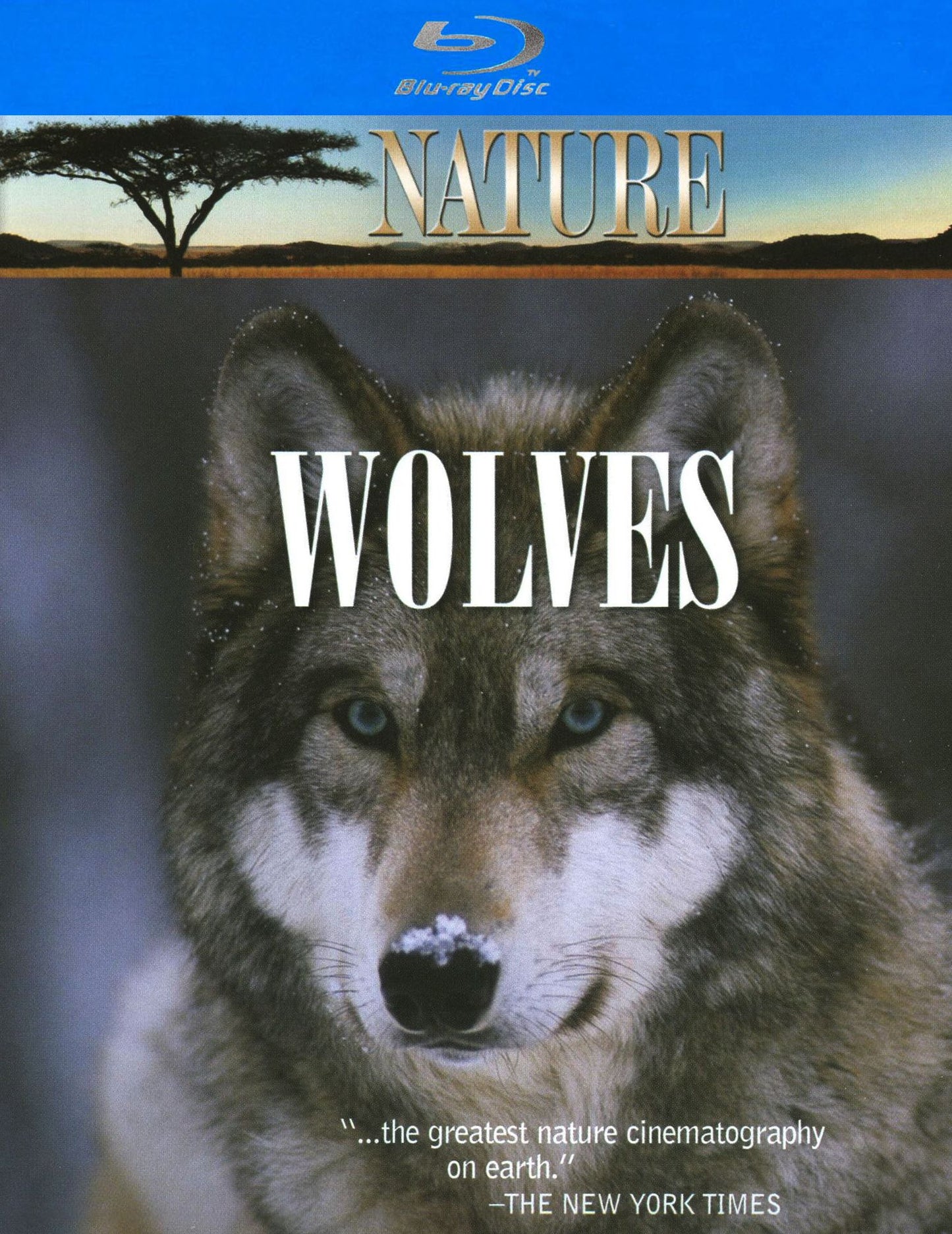 Nature: In the Valley of the Wolves/Christmas in Yellowstone [Blu-ray]