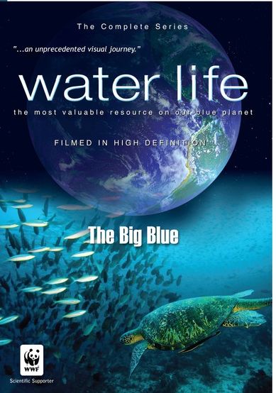 Water Life: The Big Blue