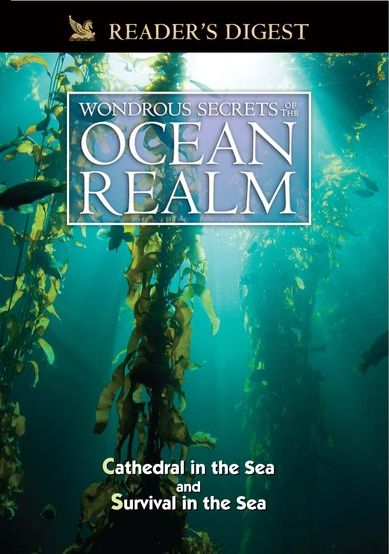 Wondrous Secrets of the Ocean Realm: Cathedral in the Sea & Survival in the Sea