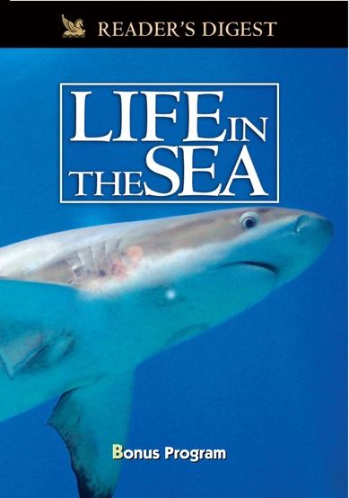 Wondrous Secrets of the Ocean Realm: Life in the Sea